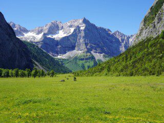 photo-1592146385470-508c0a756370